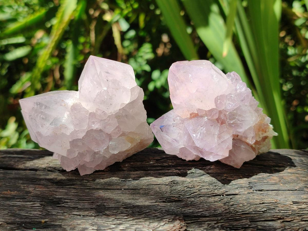 Natural Lilac Amethyst Spirit Quartz Clusters x 6 From Boekenhouthoek, South Africa - Toprock Gemstones and Minerals 
