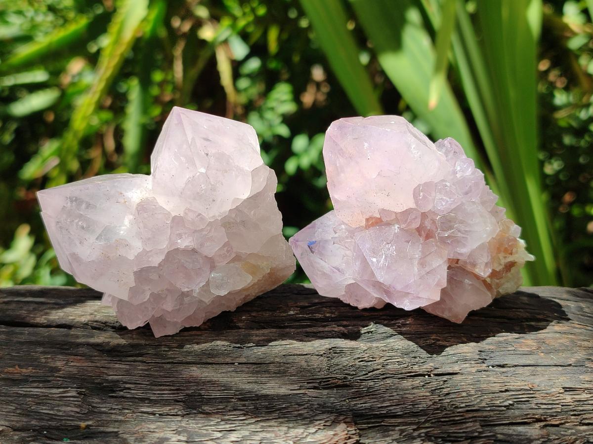 Natural Lilac Amethyst Spirit Quartz Clusters x 6 From Boekenhouthoek, South Africa - Toprock Gemstones and Minerals 
