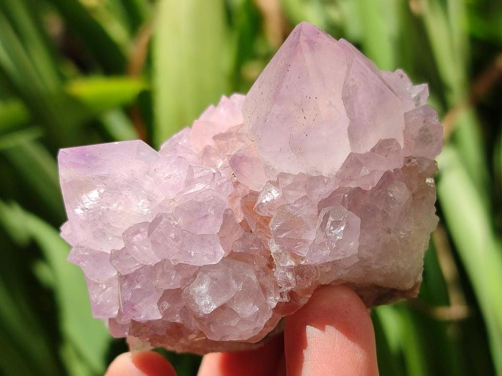 Natural Lilac Amethyst Spirit Quartz Clusters x 6 From Boekenhouthoek, South Africa - Toprock Gemstones and Minerals 