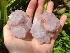 Natural Lilac Amethyst Spirit Quartz Clusters x 6 From Boekenhouthoek, South Africa - Toprock Gemstones and Minerals 
