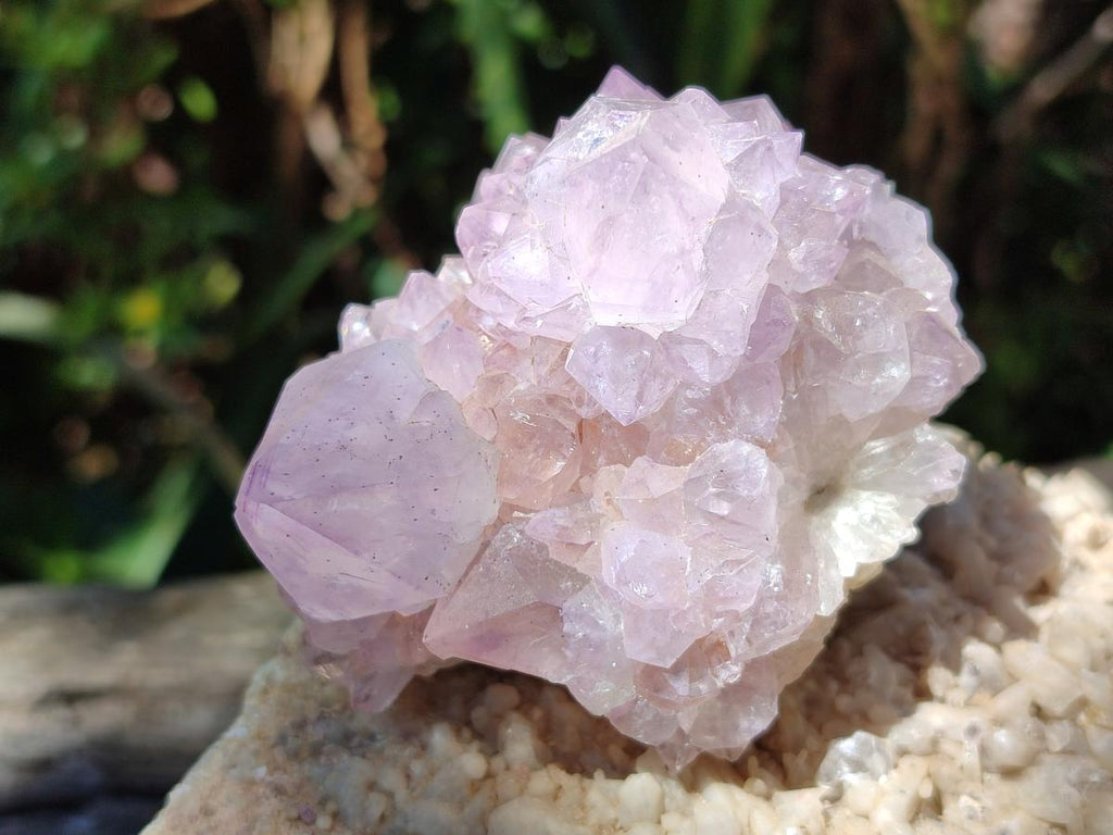 Natural Lilac Amethyst Spirit Quartz Clusters x 6 From Boekenhouthoek, South Africa - Toprock Gemstones and Minerals 