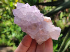 Natural Lilac Amethyst Spirit Quartz Clusters x 6 From Boekenhouthoek, South Africa - Toprock Gemstones and Minerals 