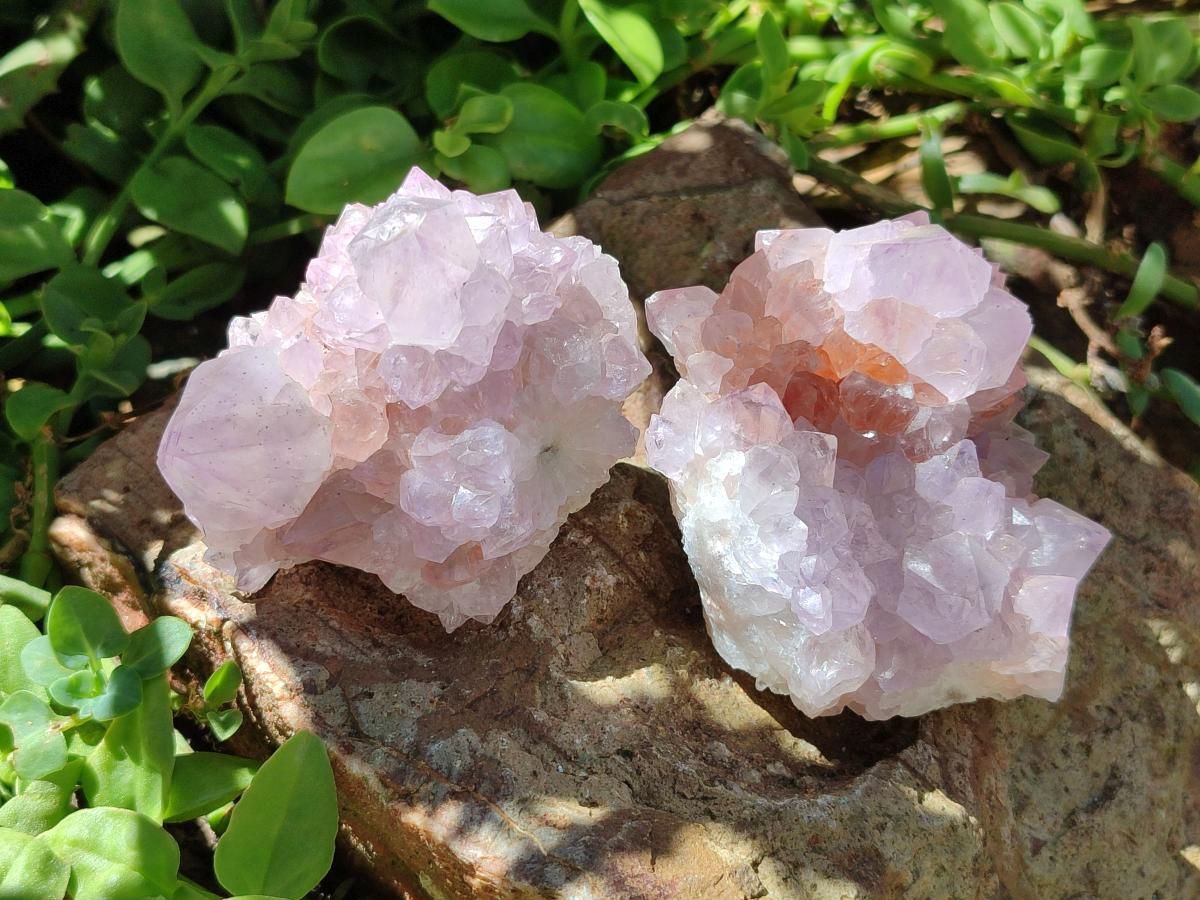 Natural Lilac Amethyst Spirit Quartz Clusters x 6 From Boekenhouthoek, South Africa - Toprock Gemstones and Minerals 
