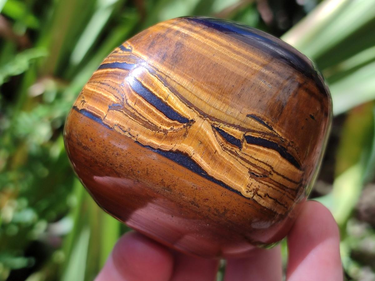 Polished Golden Tigers Eye Free Forms x 6 From Prieska, South Africa - Toprock Gemstones and Minerals 