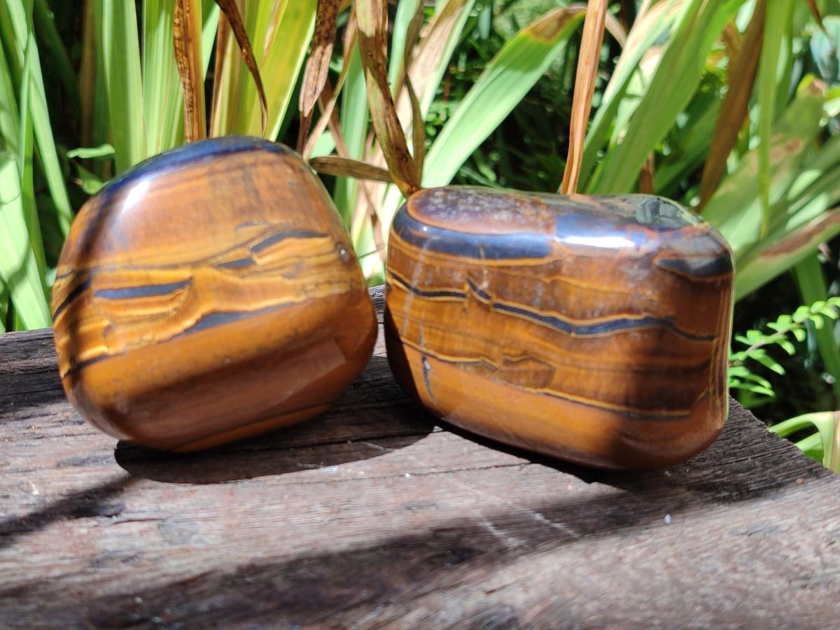 Polished Golden Tigers Eye Free Forms x 6 From Prieska, South Africa - Toprock Gemstones and Minerals 