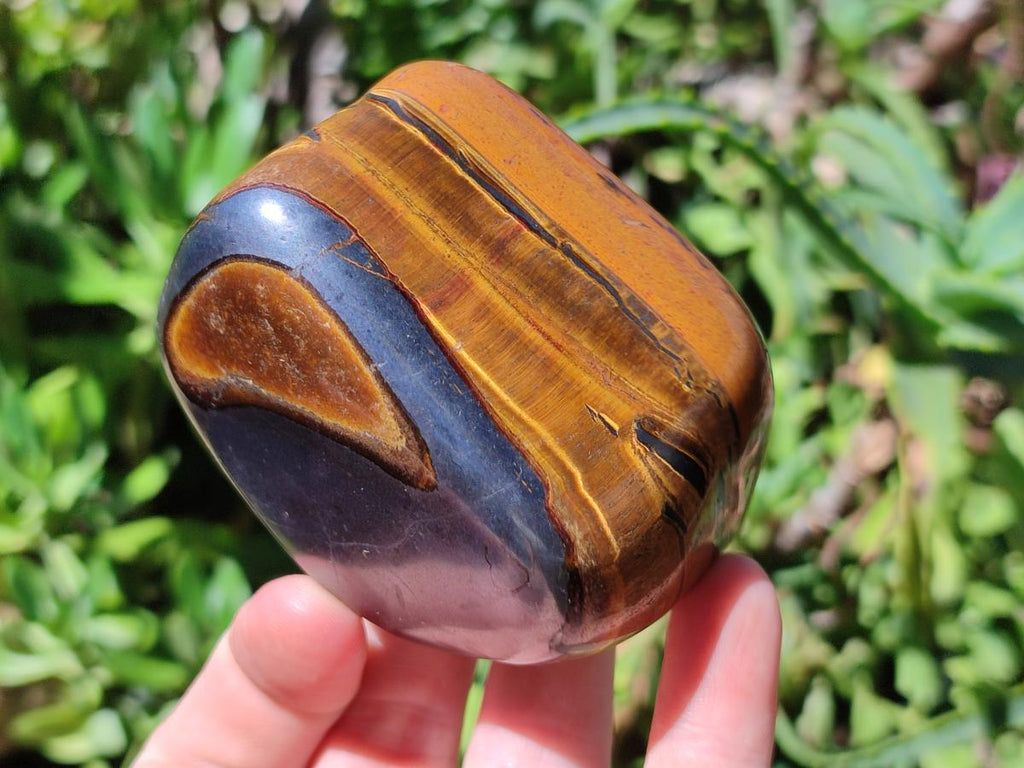 Polished Golden Tigers Eye Free Forms x 6 From Prieska, South Africa - Toprock Gemstones and Minerals 