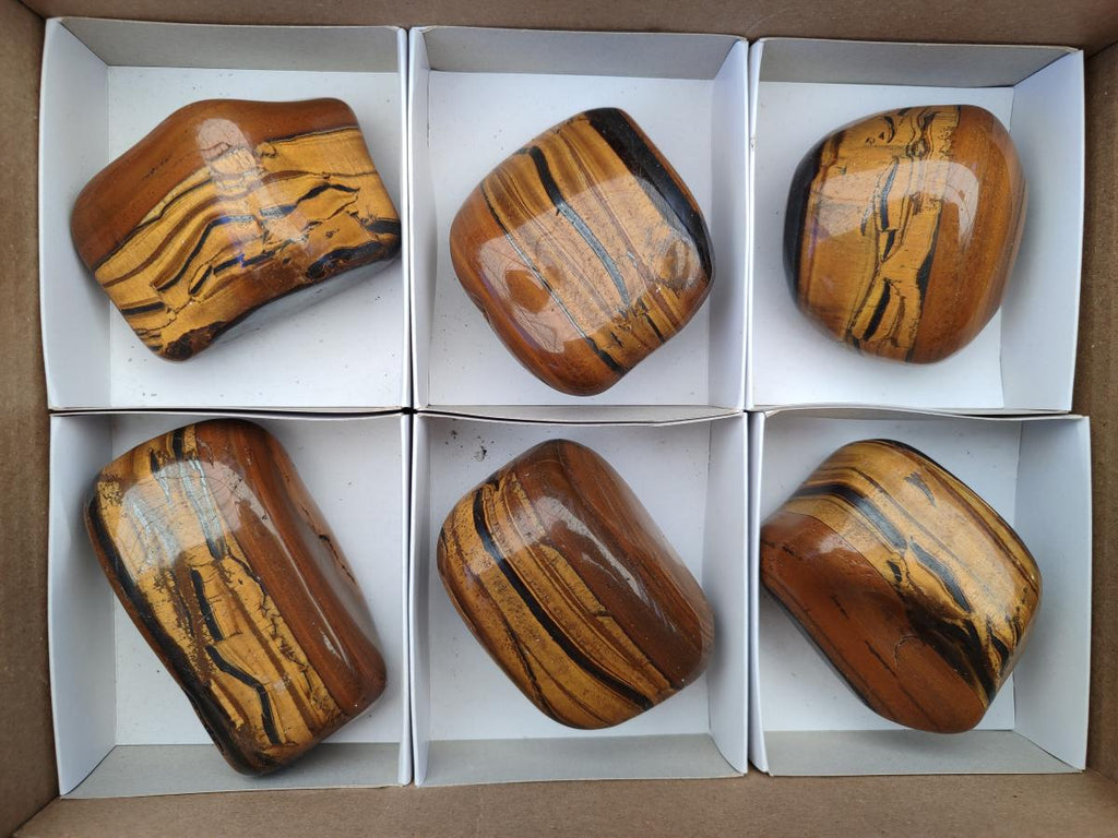 Polished Golden Tigers Eye Free Forms x 6 From Prieska, South Africa - Toprock Gemstones and Minerals 