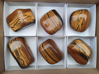 Polished Golden Tigers Eye Free Forms x 6 From Prieska, South Africa - Toprock Gemstones and Minerals 