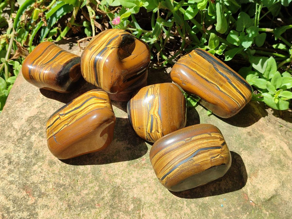 Polished Golden Tigers Eye Free Forms x 6 From Prieska, South Africa - Toprock Gemstones and Minerals 