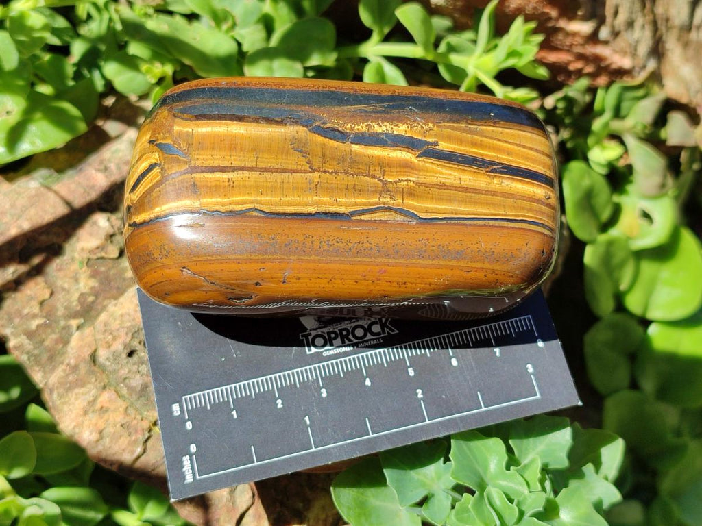 Polished Golden Tigers Eye Free Forms x 6 From Prieska, South Africa - Toprock Gemstones and Minerals 