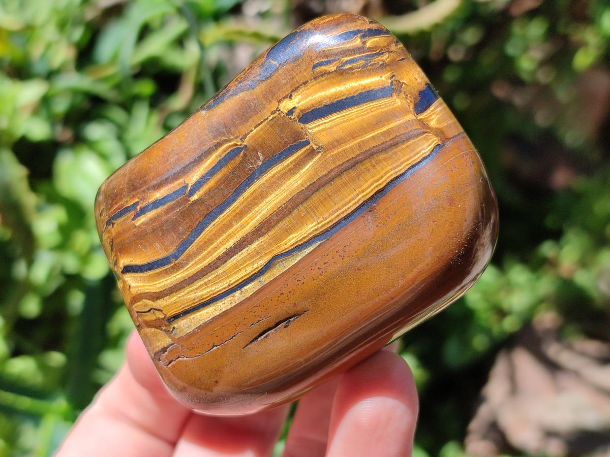 Polished Golden Tigers Eye Free Forms x 6 From Prieska, South Africa - Toprock Gemstones and Minerals 