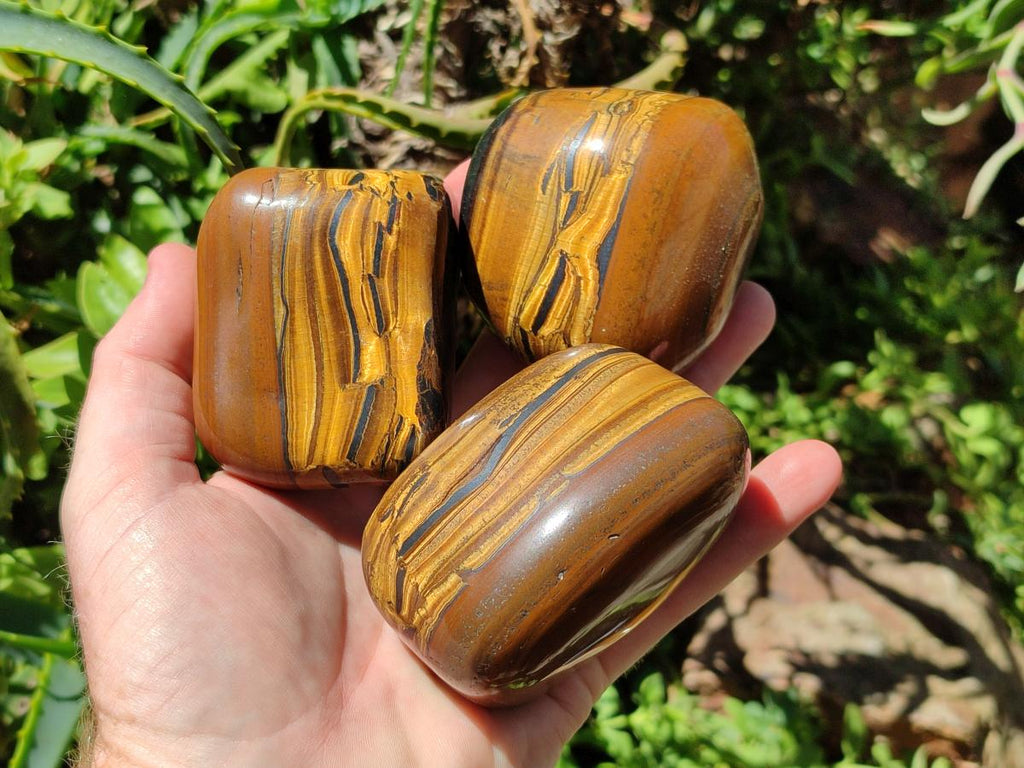 Polished Golden Tigers Eye Free Forms x 6 From Prieska, South Africa - Toprock Gemstones and Minerals 