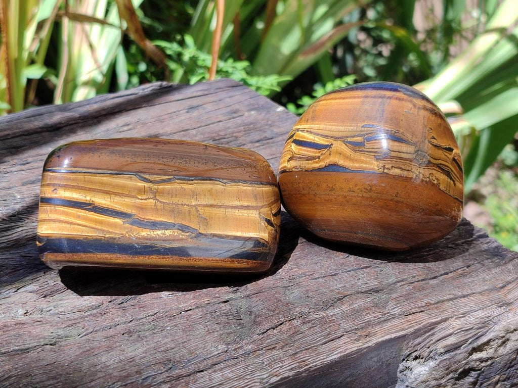 Polished Golden Tigers Eye Free Forms x 6 From Prieska, South Africa - Toprock Gemstones and Minerals 