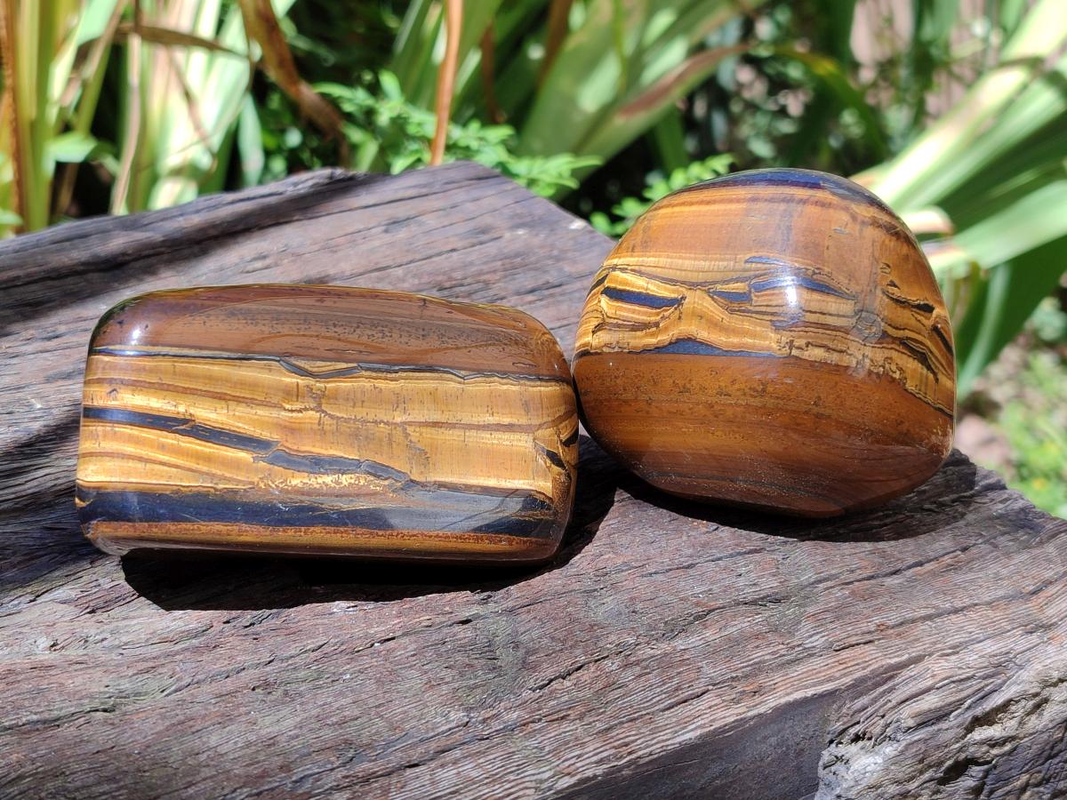 Polished Golden Tigers Eye Free Forms x 6 From Prieska, South Africa - Toprock Gemstones and Minerals 
