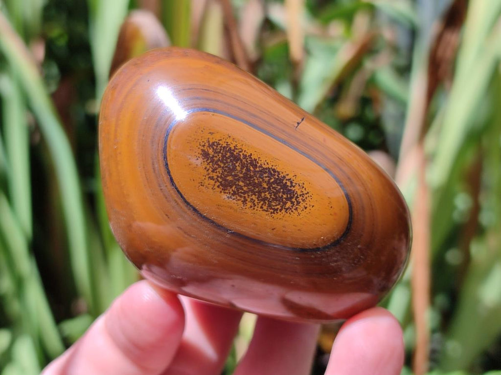 Polished Golden Tigers Eye Free Forms x 6 From Prieska, South Africa - Toprock Gemstones and Minerals 