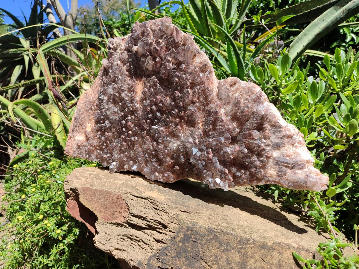 Natural XL Cascading Hematoid Quartz Cluster x 1 From Zambia - Toprock Gemstones and Minerals 