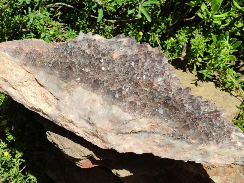 Natural XL Cascading Hematoid Quartz Cluster x 1 From Zambia - Toprock Gemstones and Minerals 