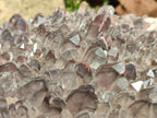 Natural XL Cascading Hematoid Quartz Cluster x 1 From Zambia - Toprock Gemstones and Minerals 