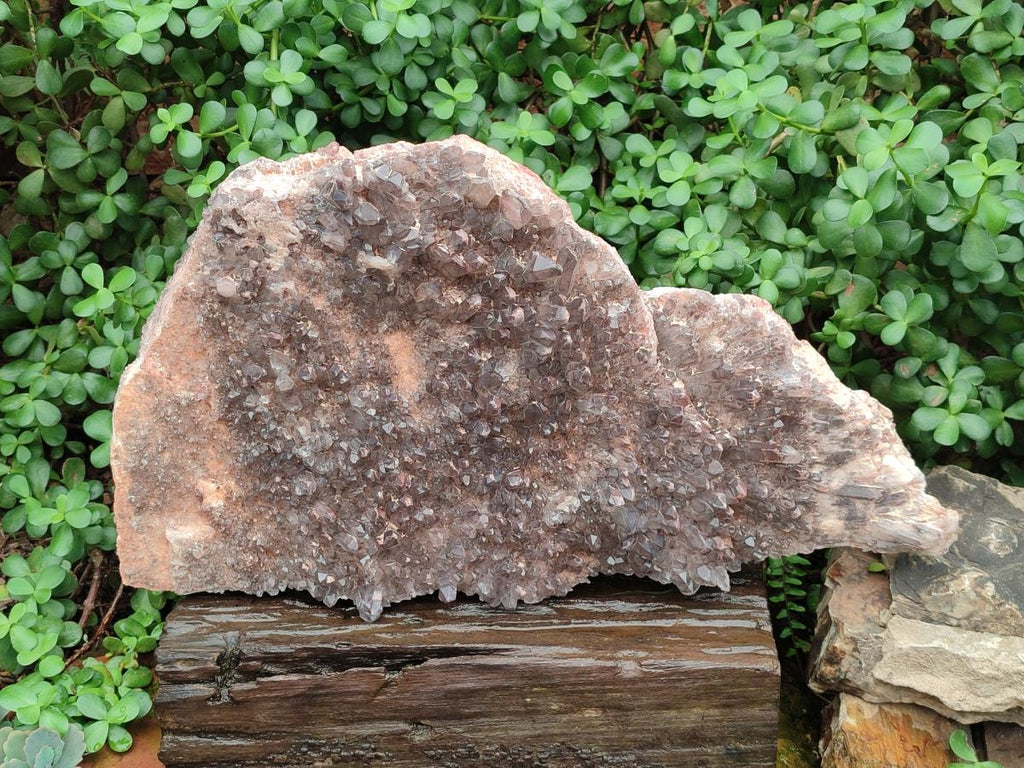 Natural XL Cascading Hematoid Quartz Cluster x 1 From Zambia - Toprock Gemstones and Minerals 