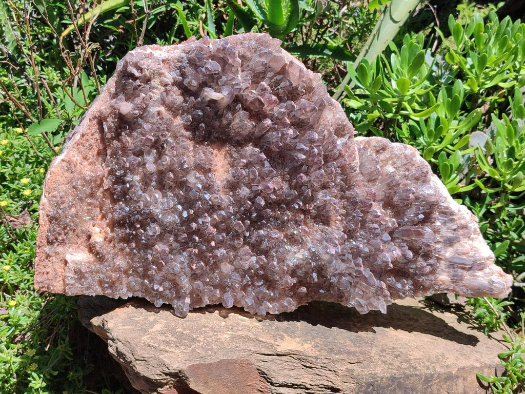 Natural XL Cascading Hematoid Quartz Cluster x 1 From Zambia - Toprock Gemstones and Minerals 