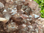 Natural XL Cascading Hematoid Quartz Cluster x 1 From Zambia - Toprock Gemstones and Minerals 