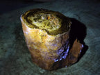 Polished Large On One Side Dadoxylon Petrified Wood Tree Branche x 1 From Gokwe, Zimbabwe - Toprock Gemstones and Minerals 