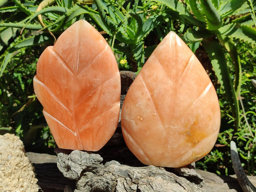 Polished Orange Twist Calcite Leaf Display Pieces x 2 From Maevantanana, Madagascar - Toprock Gemstones and Minerals 