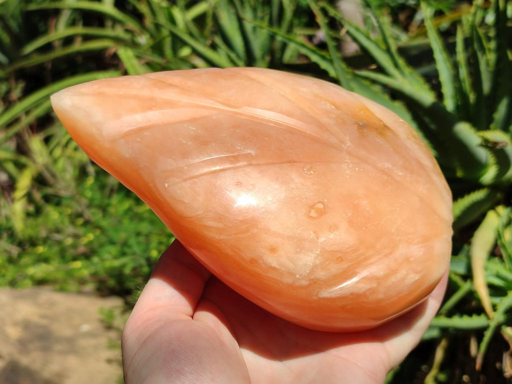 Polished Orange Twist Calcite Leaf Display Pieces x 2 From Maevantanana, Madagascar - Toprock Gemstones and Minerals 