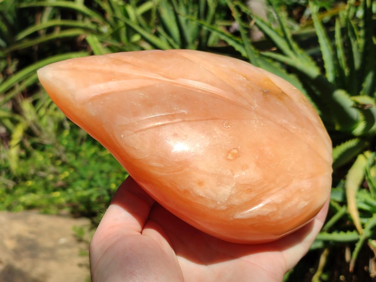 Polished Orange Twist Calcite Leaf Display Pieces x 2 From Maevantanana, Madagascar - Toprock Gemstones and Minerals 
