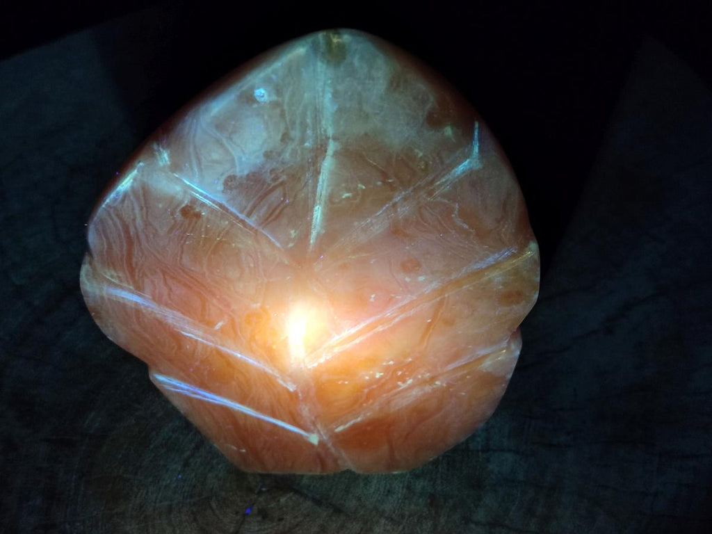 Polished Orange Twist Calcite Leaf Display Pieces x 2 From Maevantanana, Madagascar - Toprock Gemstones and Minerals 