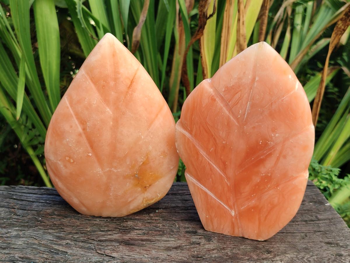 Polished Orange Twist Calcite Leaf Display Pieces x 2 From Maevantanana, Madagascar - Toprock Gemstones and Minerals 