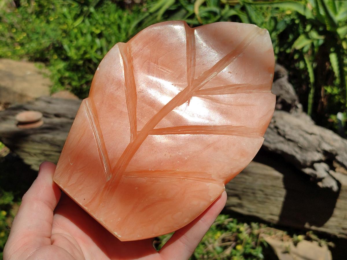 Polished Orange Twist Calcite Leaf Display Pieces x 2 From Maevantanana, Madagascar - Toprock Gemstones and Minerals 
