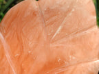 Polished Orange Twist Calcite Leaf Display Pieces x 2 From Maevantanana, Madagascar - Toprock Gemstones and Minerals 