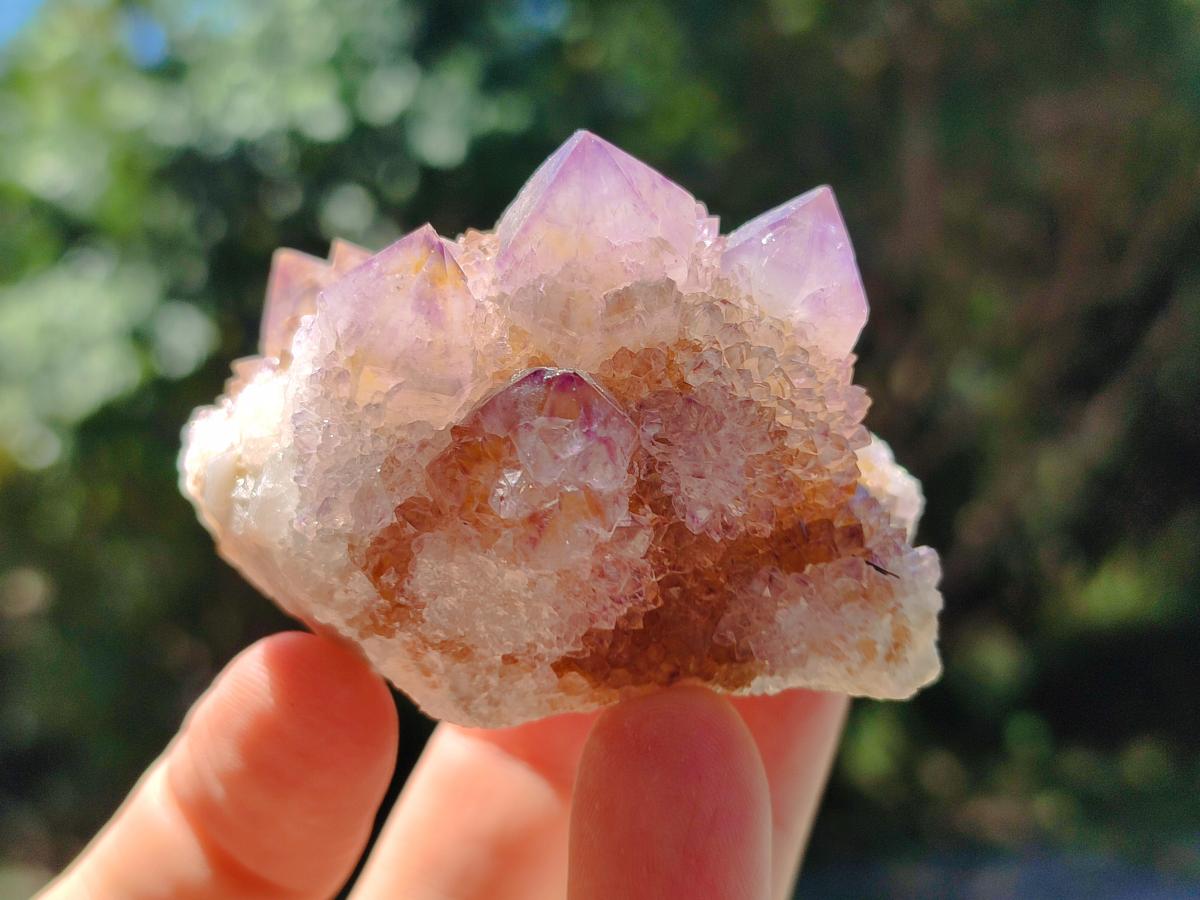 Natural Amethyst and Ametrine Spirit Clusters x 12 From Boekenhouthoek, South Africa - Toprock Gemstones and Minerals 