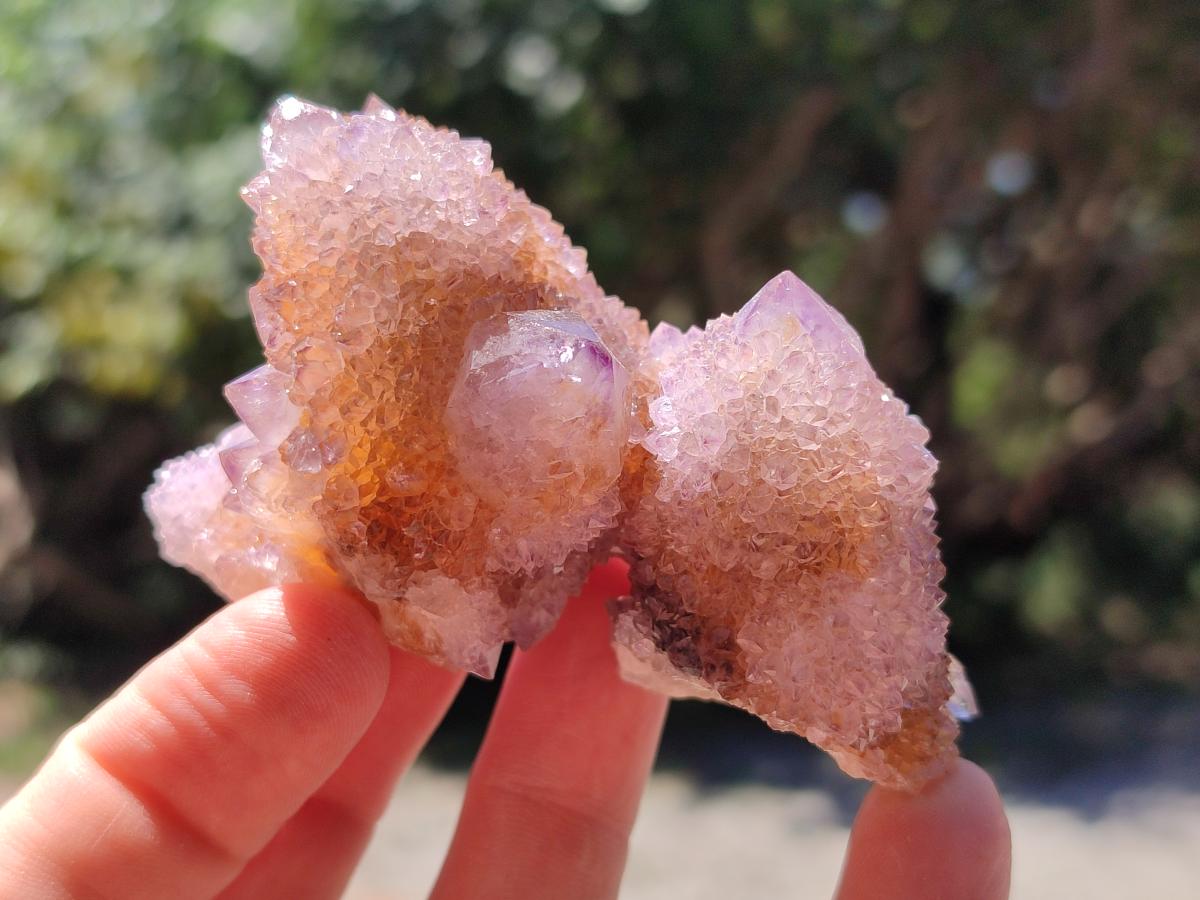 Natural Amethyst and Ametrine Spirit Clusters x 12 From Boekenhouthoek, South Africa - Toprock Gemstones and Minerals 