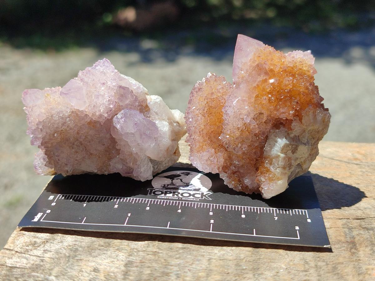 Natural Amethyst and Ametrine Spirit Clusters x 12 From Boekenhouthoek, South Africa - Toprock Gemstones and Minerals 