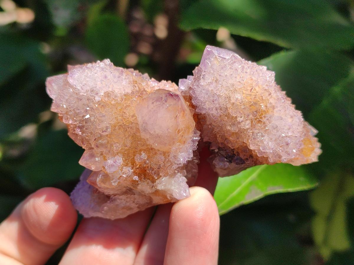 Natural Amethyst and Ametrine Spirit Clusters x 12 From Boekenhouthoek, South Africa - Toprock Gemstones and Minerals 