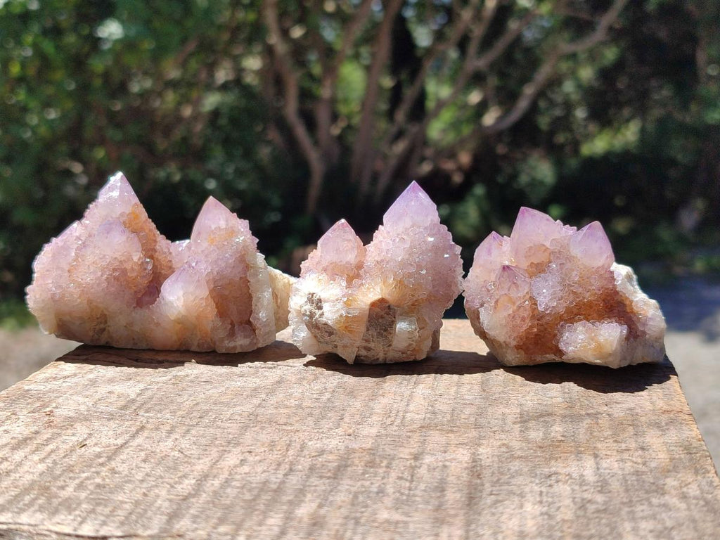 Natural Amethyst and Ametrine Spirit Clusters x 12 From Boekenhouthoek, South Africa - Toprock Gemstones and Minerals 