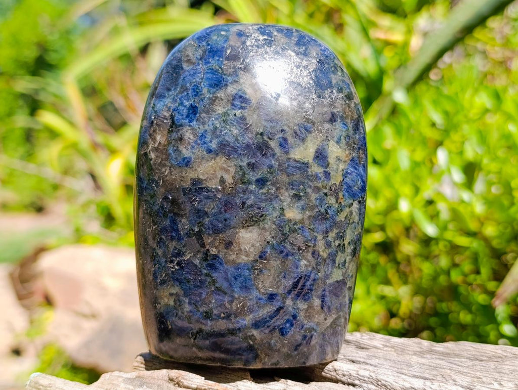Polished Blue Iolite "Water Sapphire" Standing Free Forms x 2 From Madagascar - Toprock Gemstones and Minerals 