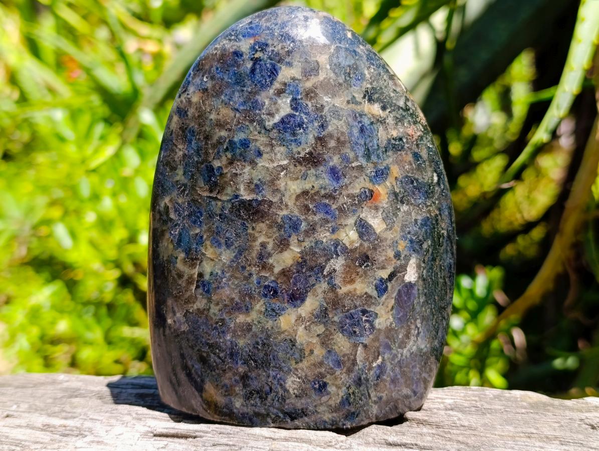 Polished Blue Iolite "Water Sapphire" Standing Free Forms x 2 From Madagascar - Toprock Gemstones and Minerals 