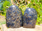 Polished Blue Iolite "Water Sapphire" Standing Free Forms x 2 From Madagascar - Toprock Gemstones and Minerals 