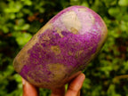 Polished Stichtite Standing Free Forms x 4 From Barberton, South Africa - Toprock Gemstones and Minerals 