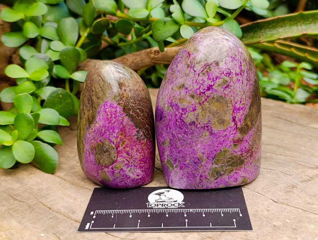 Polished Stichtite Standing Free Forms x 4 From Barberton, South Africa - Toprock Gemstones and Minerals 