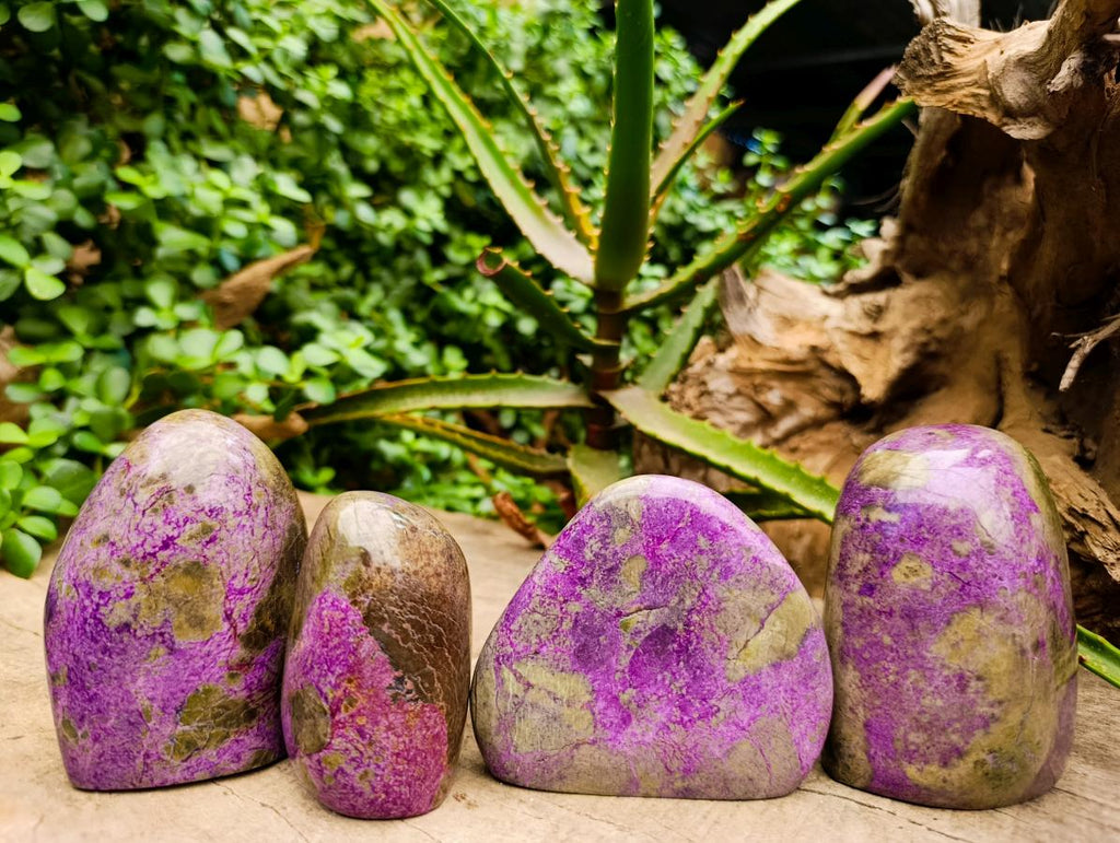 Polished Stichtite Standing Free Forms x 4 From Barberton, South Africa - Toprock Gemstones and Minerals 