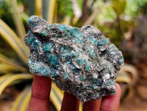 Natural Emerald Mica 'Mutokolite' Cobbed Specimens x 6 From Mutoko, Zimbabwe - Toprock Gemstones and Minerals 