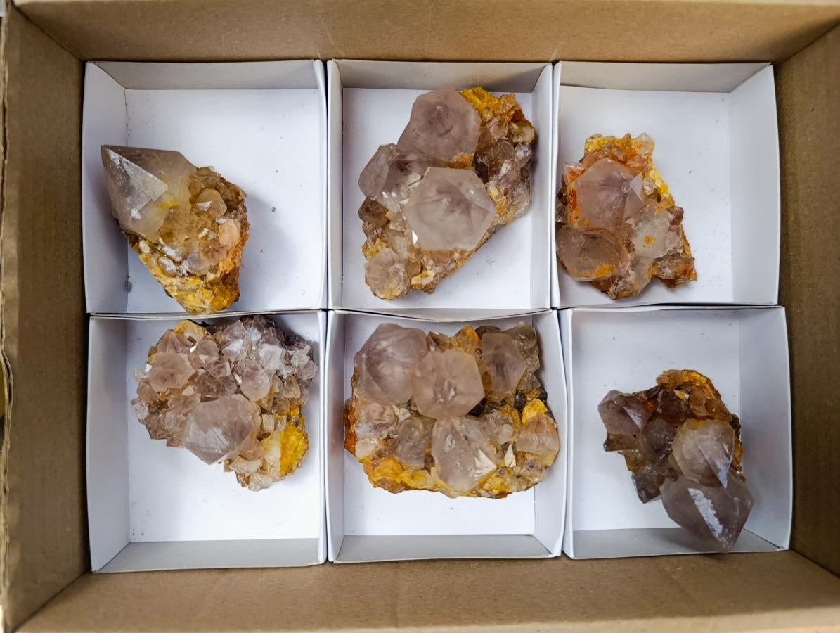 Natural Cactus Flower Smokey Amethyst Spirit Clusters x 6 From South Africa - Toprock Gemstones and Minerals 