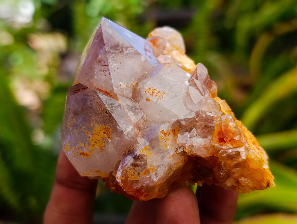 Natural Cactus Flower Smokey Amethyst Spirit Clusters x 6 From South Africa - Toprock Gemstones and Minerals 