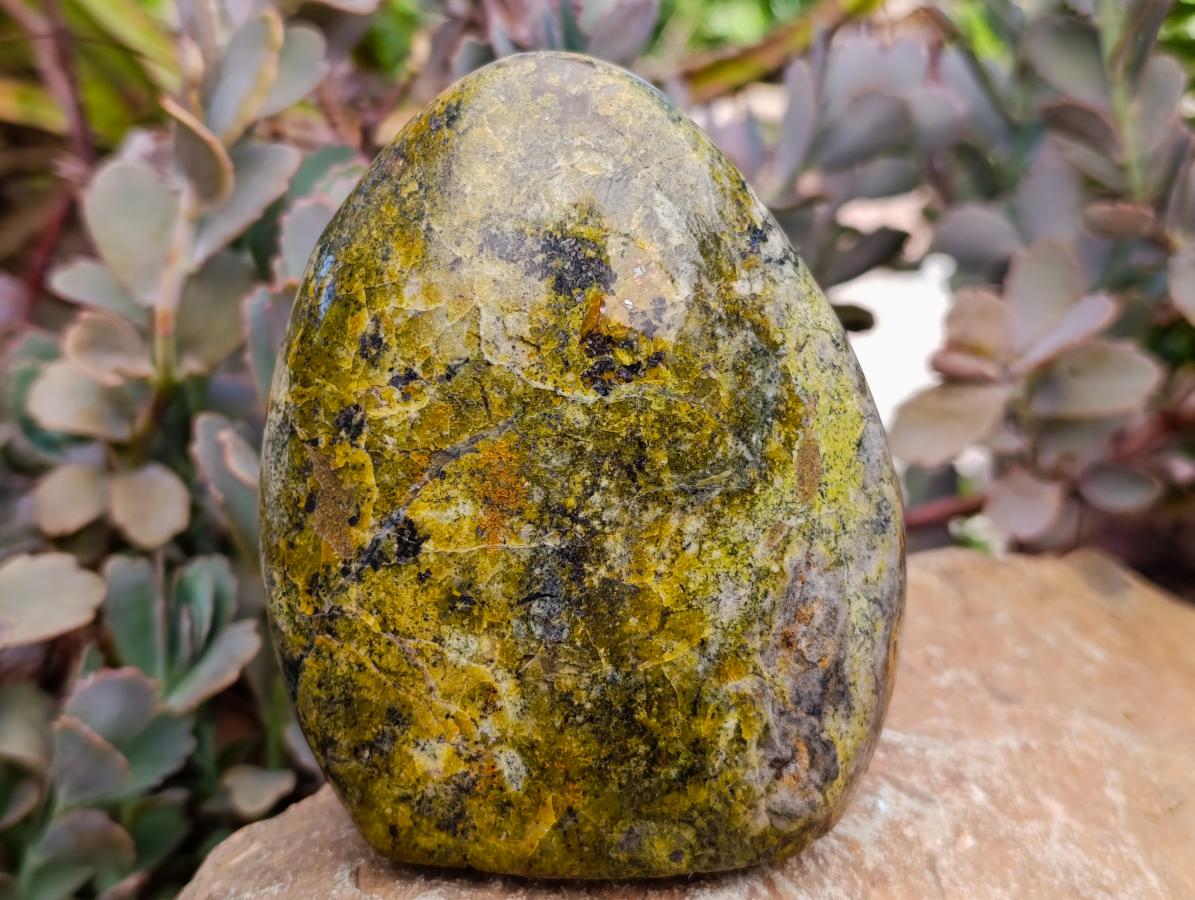 Polished Green Opal Standing Free Forms x 2 From Betroka, Madagascar - Toprock Gemstones and Minerals 