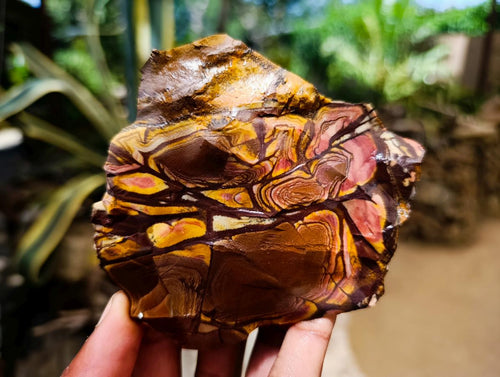 Natural Nguni Jasper Cobbed Specimens x 12 From Northern Cape, South Africa - Toprock Gemstones and Minerals 