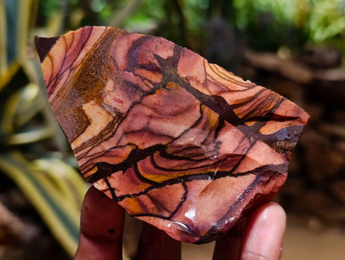 Natural Nguni Jasper Cobbed Specimens x 12 From Northern Cape, South Africa - Toprock Gemstones and Minerals 